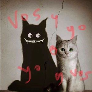 Meet your Posher, Rosaura